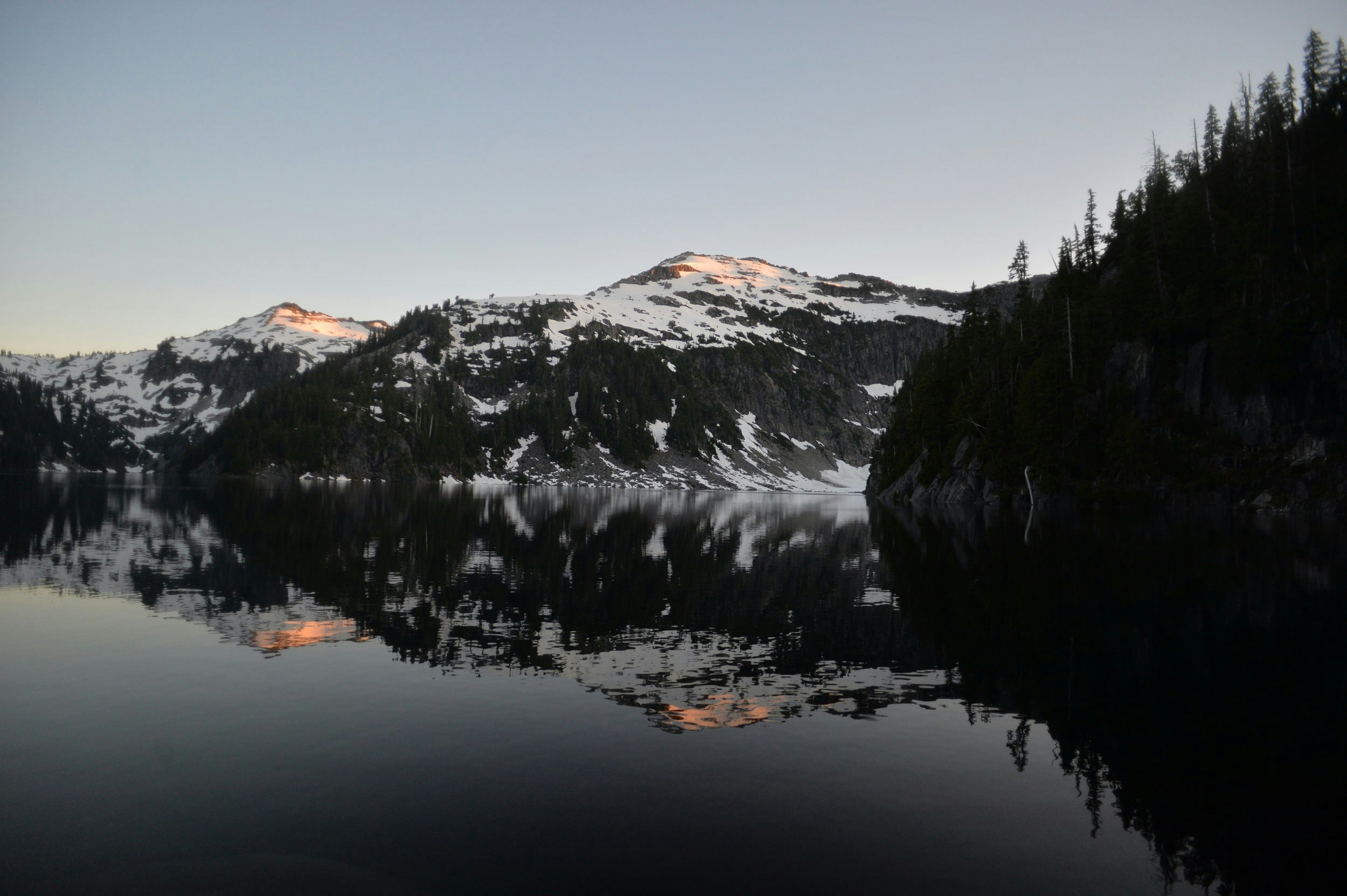 silhouette of trees near mountain